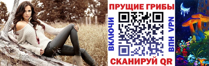 Галлюциногенные грибы Psilocybe Тимашёвск